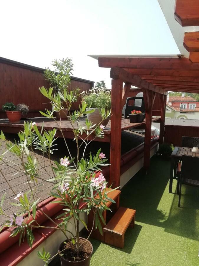 Penzion U Papousku Jindřichův Hradec Exterior foto